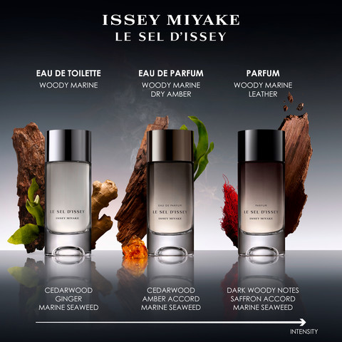 LE SEL D'ISSEY פרפיום לגבר
