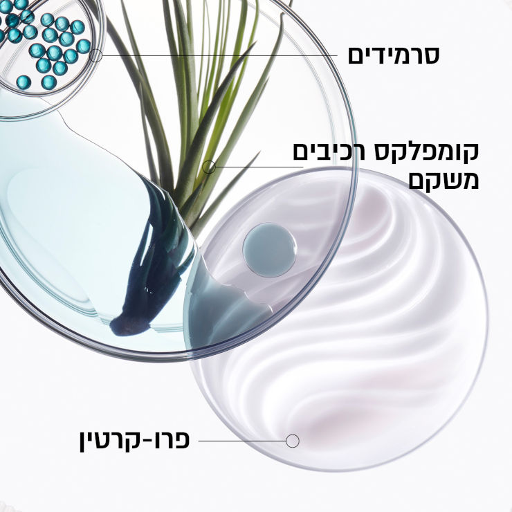RESISTANCE FORCE ARCHITECTE תחליב משקם מחזק ומגן מפני חום
