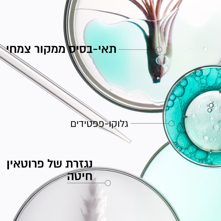 RESISTANCE THERAPISTE שמפו לחידוש סיב השערה