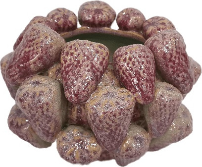 עציץ סטרוברי רד 18x18x13.5