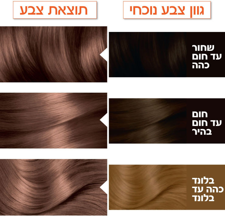 צבע לשיער קולור נטורלס 6.25 חום אגוז