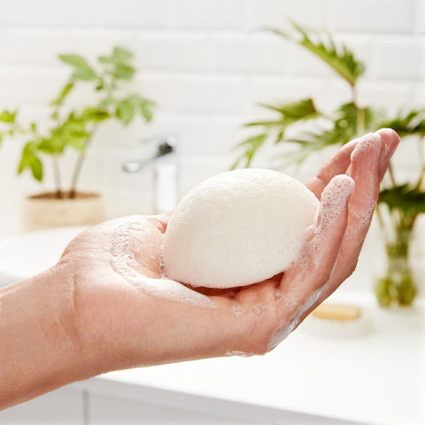 GARNIER BIO KONJAC ספוג ניקוי בוטני