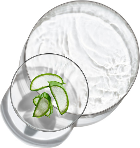 SKIN NATURALS קרם ג'ל אלוורה