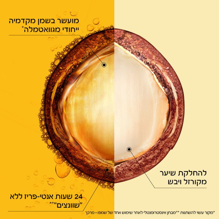 שמפו מקדמיה