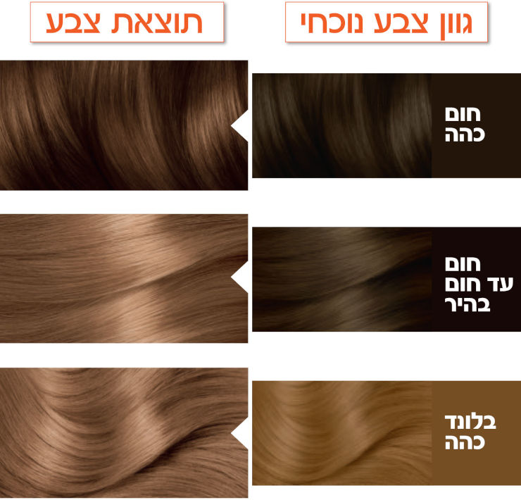 GARNIER קולור נטורלס צבע לשיער 5.3 חום זהוב
