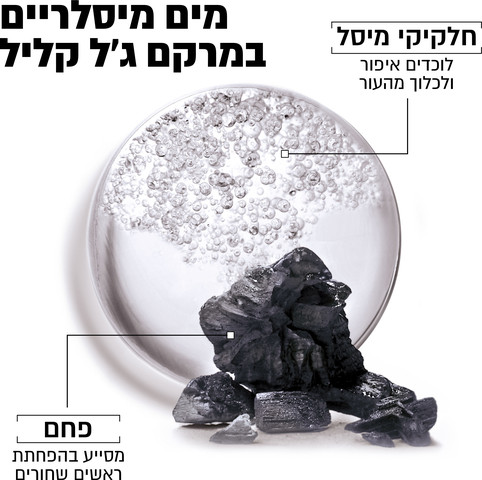 SKIN ACTIVE מים מיסלריים עם פחם