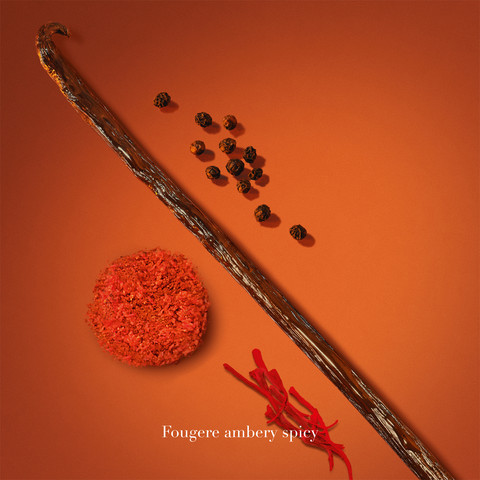 STRONGER WITH YOU SPICES א.ד.פ לגבר