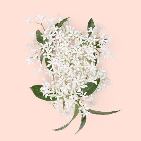 GUCCI BLOOM INTENSE א.ד.פ לאשה