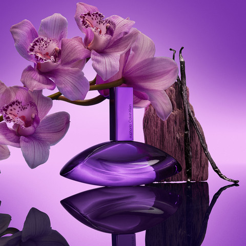 EUPHORIA ELIXIR BOLD PURPLE אלקסיר פרפיום אינטנס לאשה