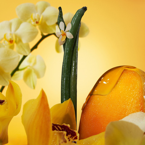 EUPHORIA ELIXIR INTENSE SOLAR YELLOW אלקסיר פרפיום אינטנס פרפיום לאשה