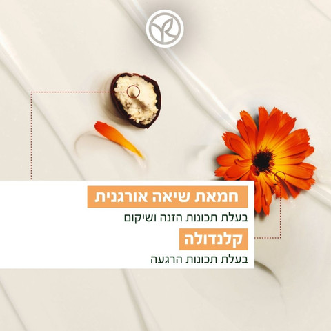 קרם גוף עשיר לשיקום העור - סדרת השיאה