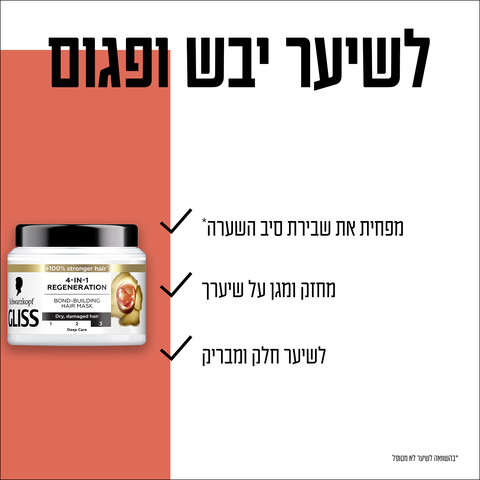 מסיכת התחדשות