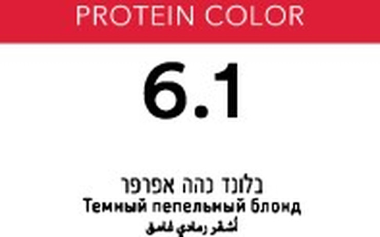 פרוטאין קולור קרם צבע שיער 6.1 בלונד כהה אפרפר