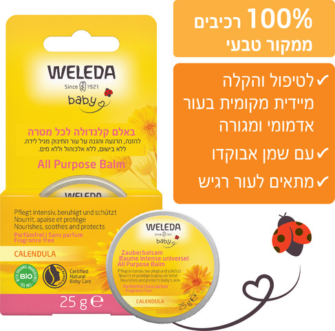 באלם קלנדולה לכל מטרה