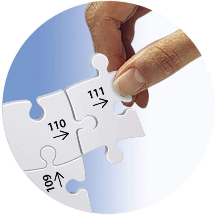 פאזל תלת מימד 216 חלקים עם תאורה - שער הניצחון