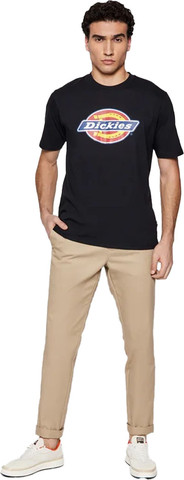 טי שירט Dickies לגברים