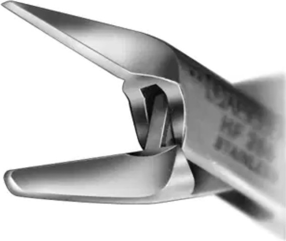 צבת מקצועית לציפורניים, להב 21 מ"מ Nail Nippers