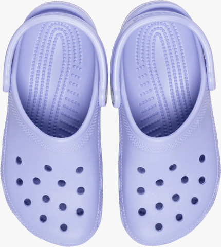 Crocs Classic - כפכפי קרוקס קלאסים בצבע סגול מיסטי