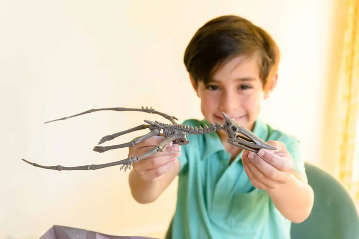 חפירת שלד פטרנודון - 4M