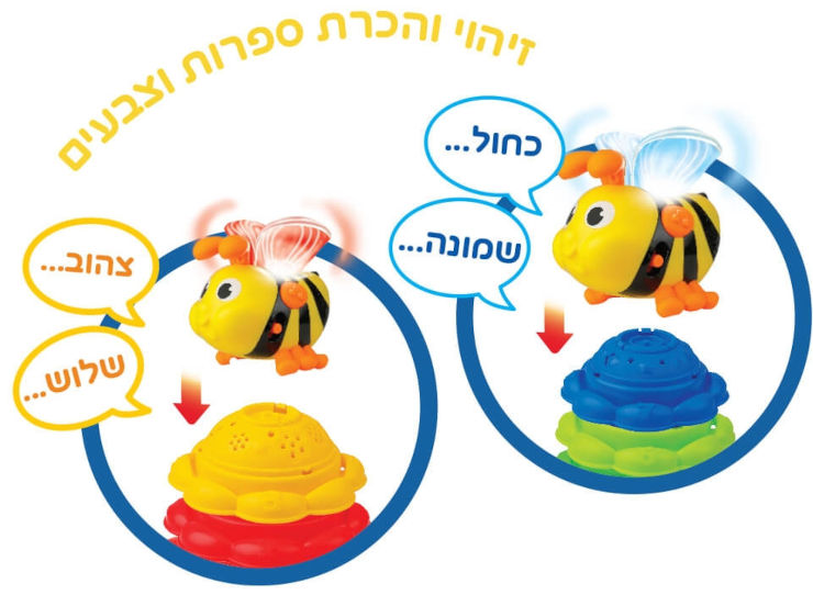 משחק לימוד צבעים ומספרים אורקולי דובר עברית - הדבורה החכמה
