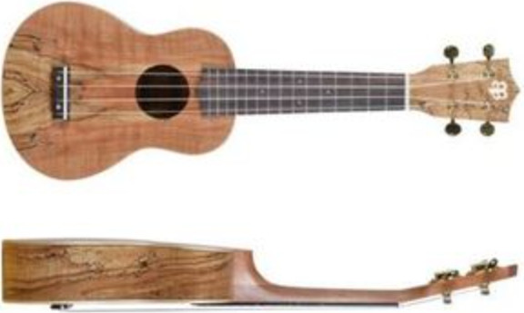 יוקללה מקצועית סופרן  Budagov Spalted Maple