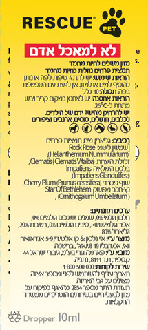 פטס יום