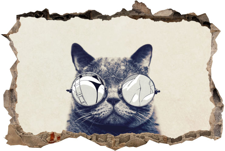 מדבקת קיר תלת מימד קיר שבור COOL CAT