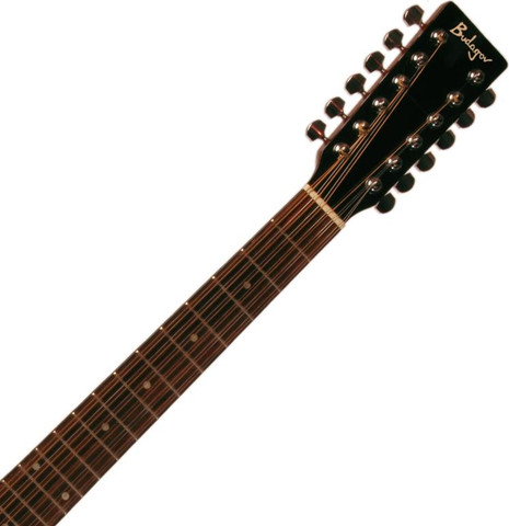 גיטרה אקוסטית מוגברת 12 מיתרים Budagov AC12 EQ-NL