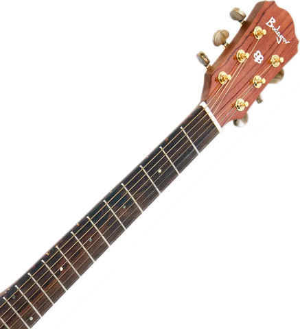 גיטרה אקוסטית מוגברת פישמן Budagov Fame EQ