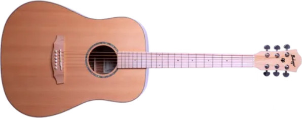 גיטרה אקוסטית Budagov Ditty Maple neck