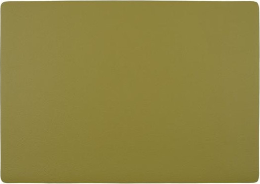 פלייסמט דו צדדי כתום/פיסטוק LUNAR pvc placemat במקום 48
