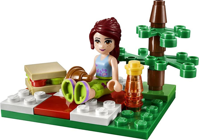 שקית לגו חברות פיקניק קיצי 30108 - Lego