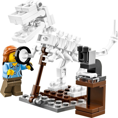 לגו רעיונות מכון מחקר 21110 - Lego