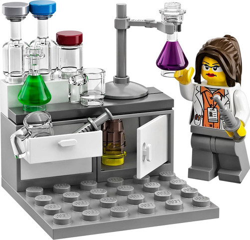 לגו רעיונות מכון מחקר 21110 - Lego