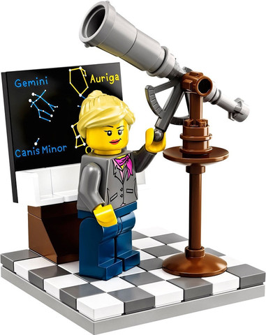 לגו רעיונות מכון מחקר 21110 - Lego