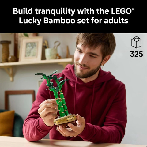 לגו בוטניקה לאקי במבוק 10344 - Lego