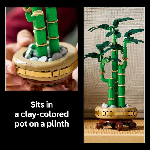 לגו בוטניקה לאקי במבוק 10344 - Lego