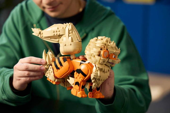 לגו פוקימון - LEGO 72160 POKEMON Arcanine