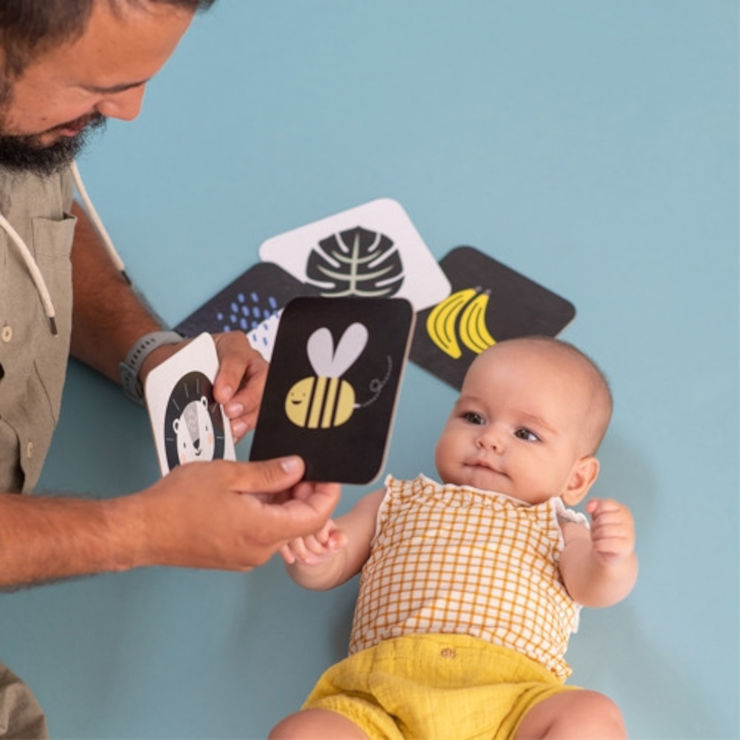 מארז 15 כרטיסיות התפתחות דו צדדיות לתינוק, מראה + 2 מעמדים