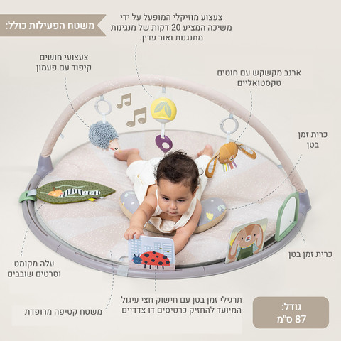 אוניברסיטת פעילות זמן בטן טאף טויס
