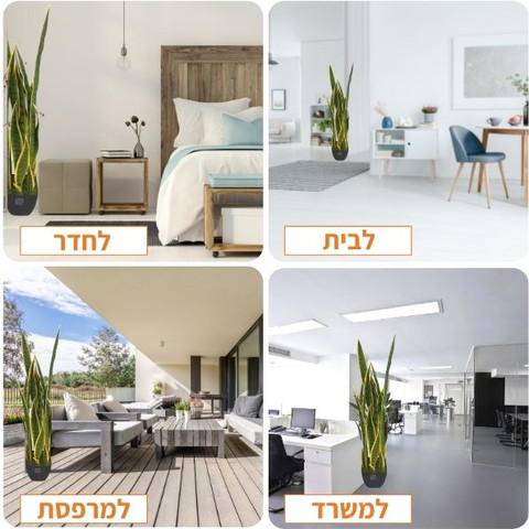 עציץ מלאכותי 'סנסיווריה צהובה' 90 ס"מ בעל אלמנט עיצובי לכל חלל