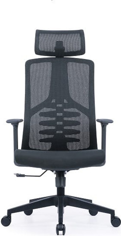 כיסא משרד Bionic therapy