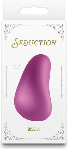 Seduction  ויברטור נטען קומפקטי ודיסקרטי