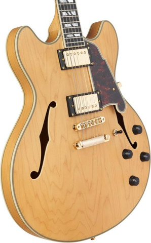 גיטרה חשמלית 1/4 נפח כולל ארגז  DELUXE DC (with Stopbar Tailpiece) SATIN HONEY
