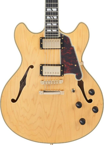 גיטרה חשמלית 1/4 נפח כולל ארגז  DELUXE DC (with Stopbar Tailpiece) SATIN HONEY