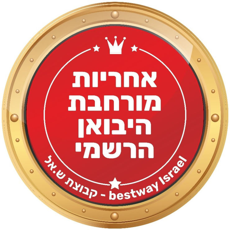 בריכה אובלית אולטרה דגם 56620 + משאבת נייר 530 גלון