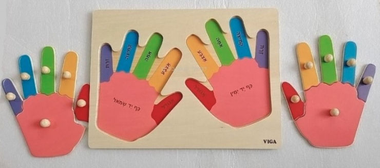 פאזל כפתורי עץ 12 חלקים עם כיתוב בעברית הכרת כפות הידיים