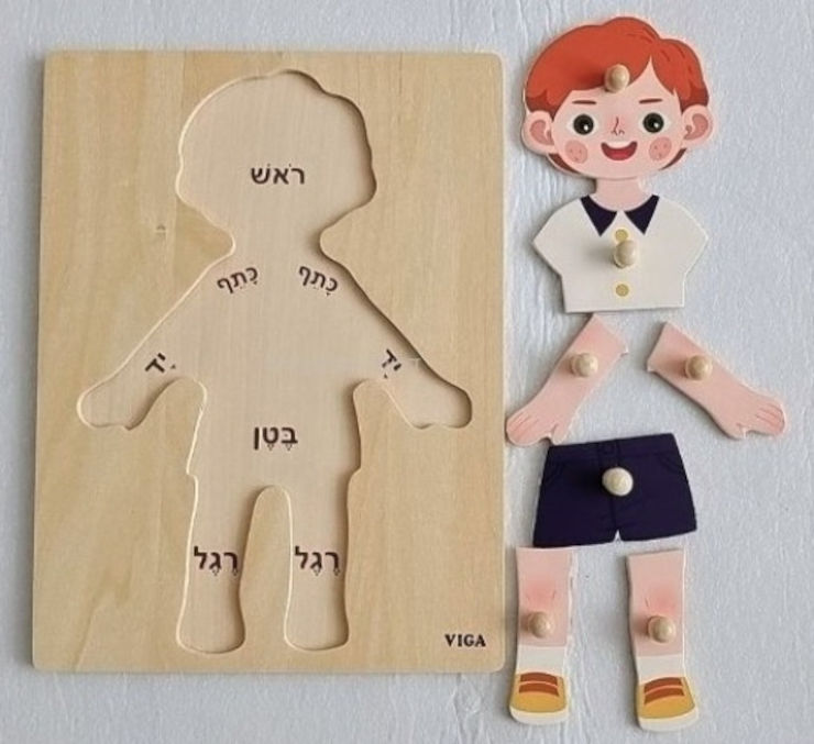 פאזל כפתורי עץ 7 חלקים עם כיתוב בעברית גוף האדם - בן