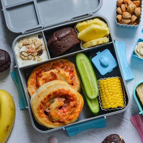 קופסת אוכל מחולקת Bento+ מחולקת 3 תאים (מונטי) Calypso