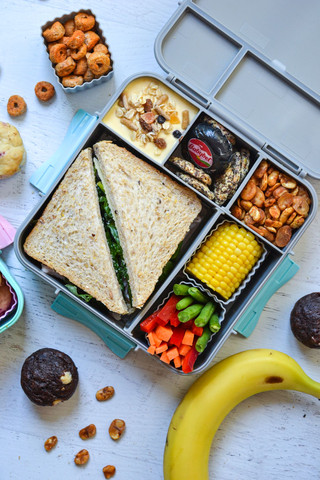 קופסת אוכל מחולקת Bento+ מחולקת 3 תאים (מונטי) Calypso